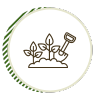 Organic And Sustainable Gardens