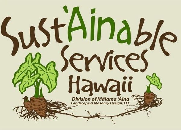 Sustainable Services