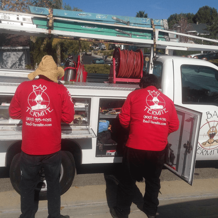 Bad Termite pest control team