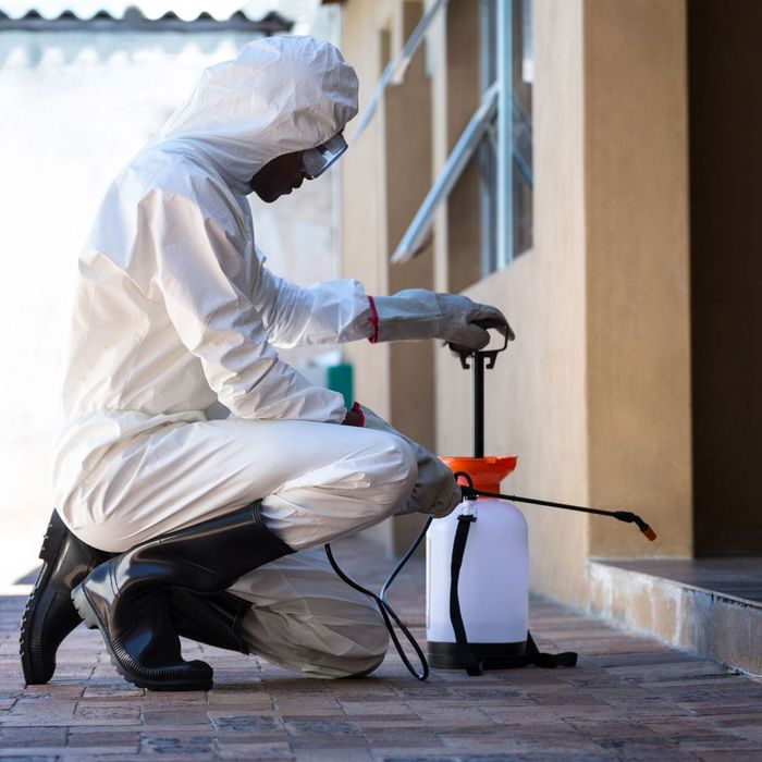Customized Pest Management Solutions