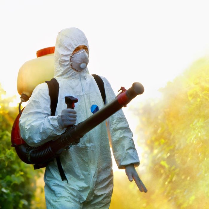 Environmentally Friendly Pest Control Services.jpg