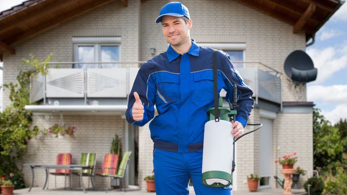 M38068 - Four Questions to Ask Your Pest Control Company.jpg