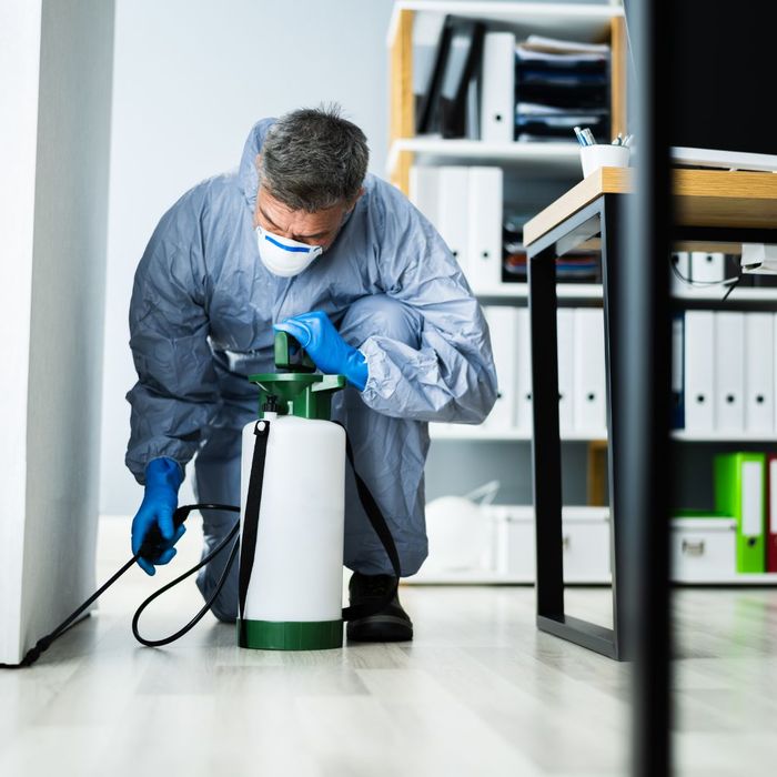 Pest Inspections and Extermination Services in Woodland Hills.jpg
