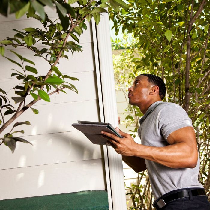 Man inspecting outside of house