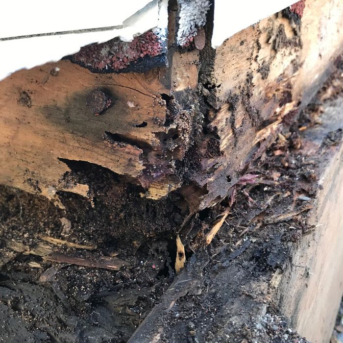 Damaged wood caused by termites.