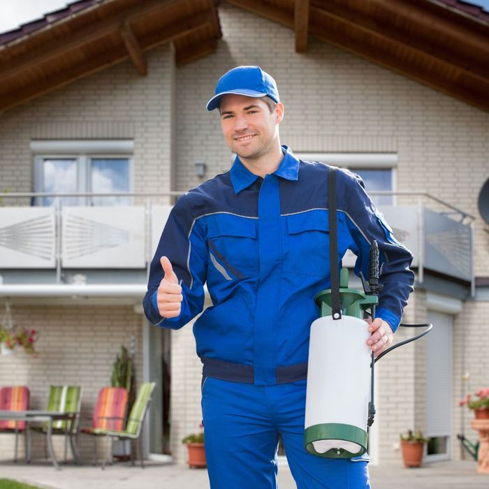 pest control staff with his thumb ups