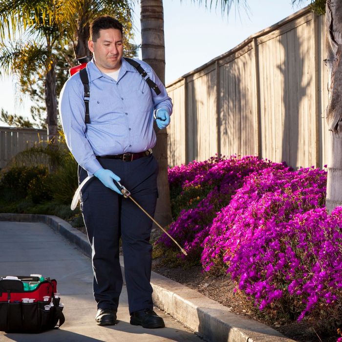 AN ENVIRONMENTALLY FRIENDLY APPROACH TO PEST CONTROL