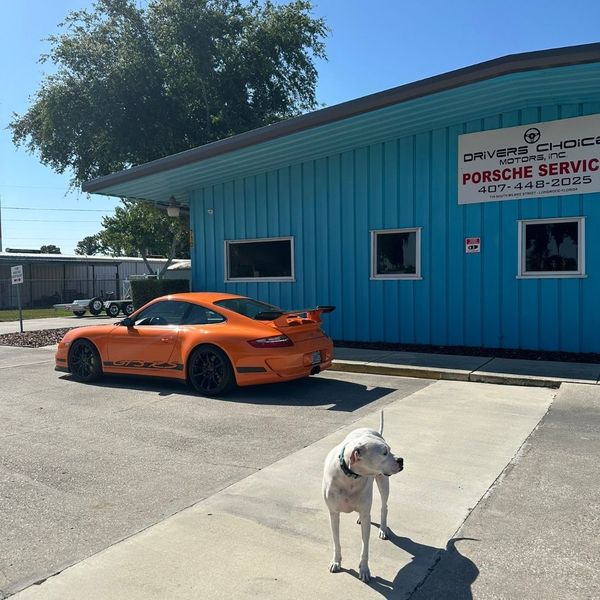 Orange Porsche outside of Driver's Choice Motors with a dog in the foreground