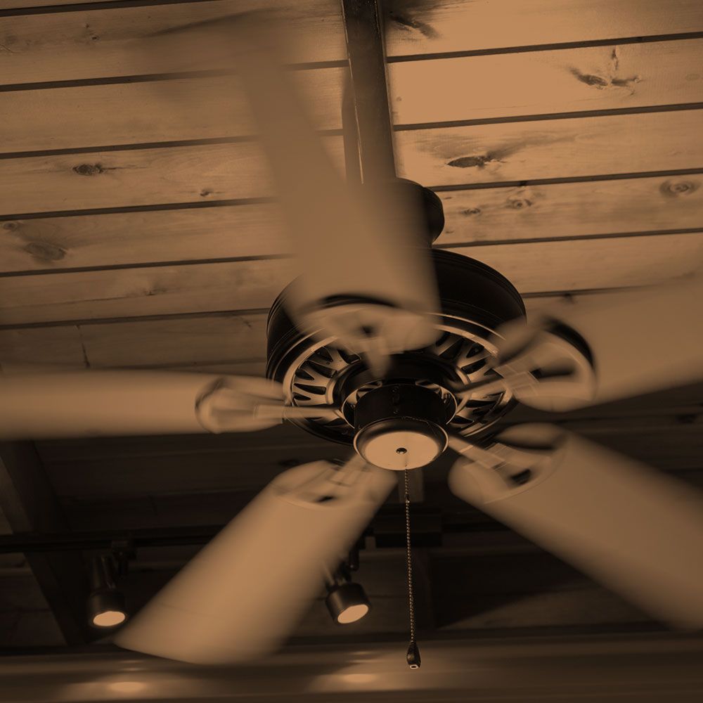 ceiling fan.jpg