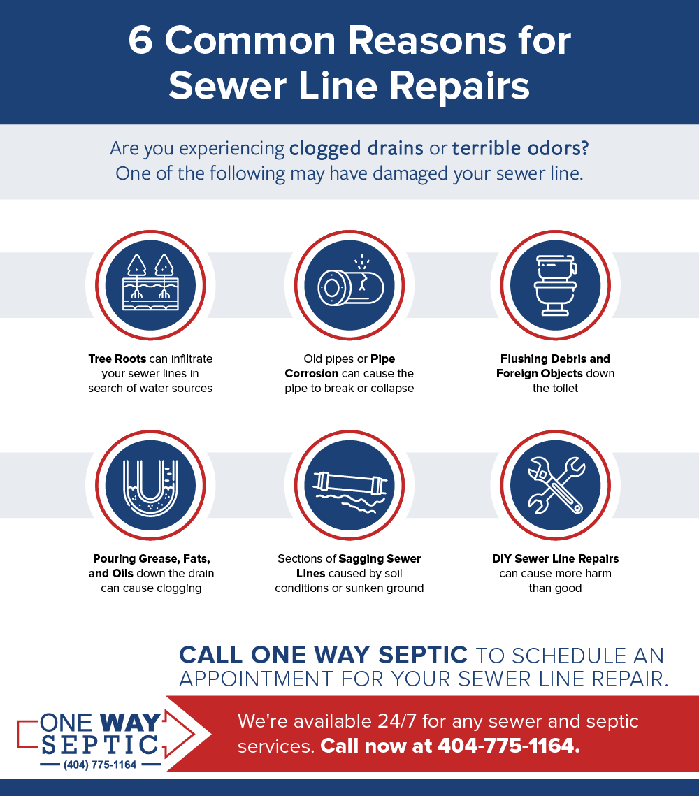 infographic of 6 Common Reasons for Sewer Line Repairs