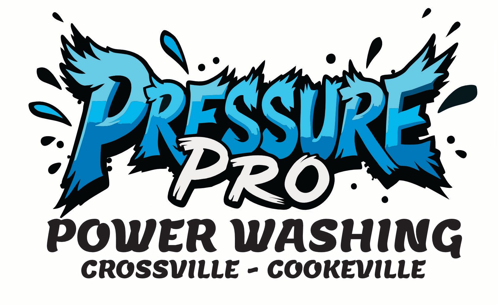 Pressure Pro Power Washing