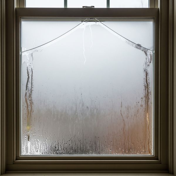 Tips for Longevity and Performance4.jpeg