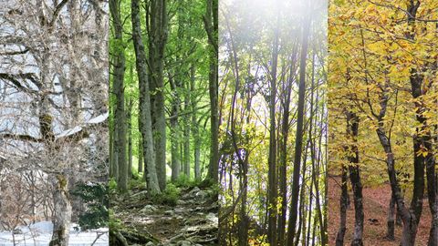 Seasonal Considerations - hero.jpg