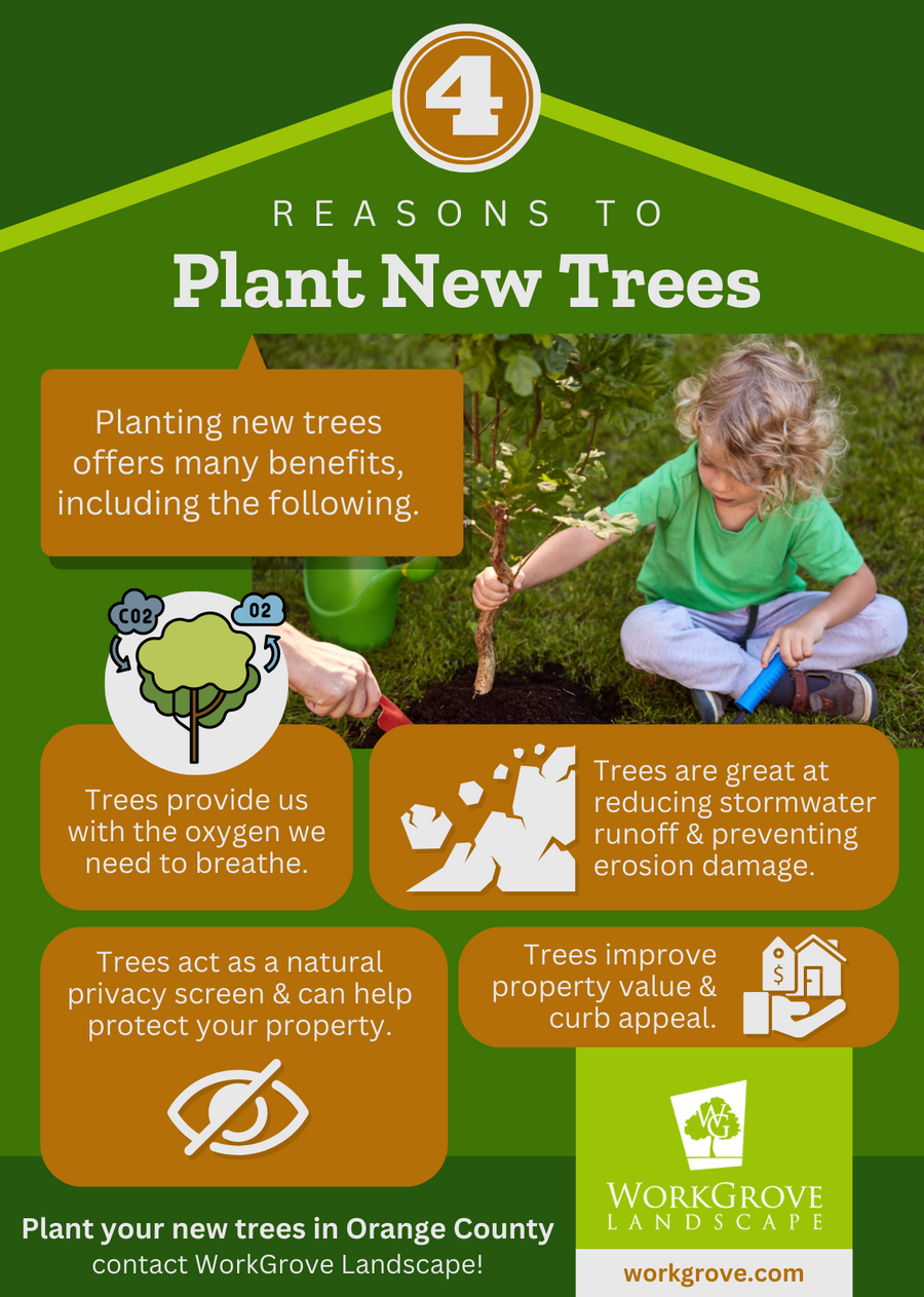 M29300-IG-4 Reasons to Plant New Trees.png