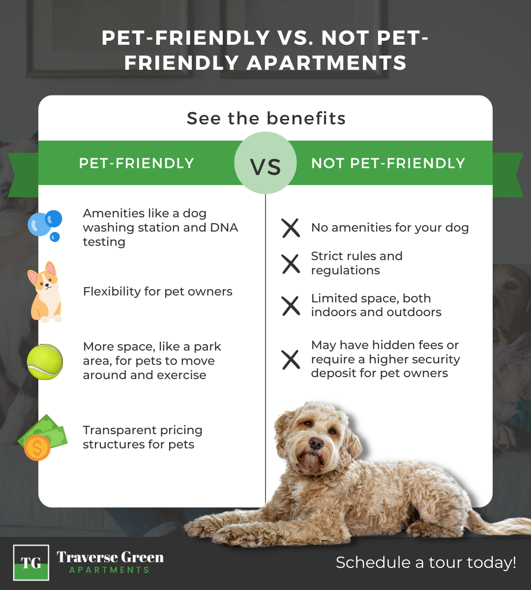 M32547 - Information Infographic - Pet-Friendly vs. Not Pet-Friendly Apartmentsv (1).png