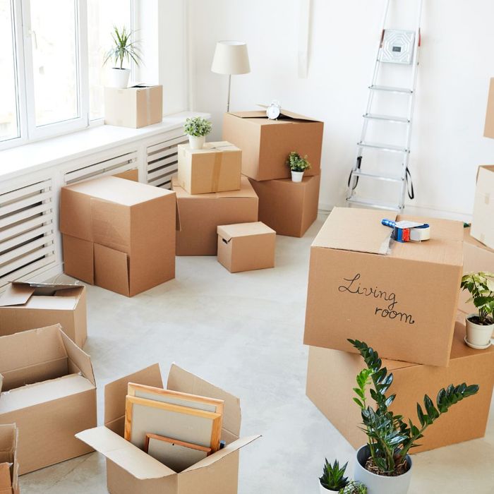 An apartment full of packed moving boxes