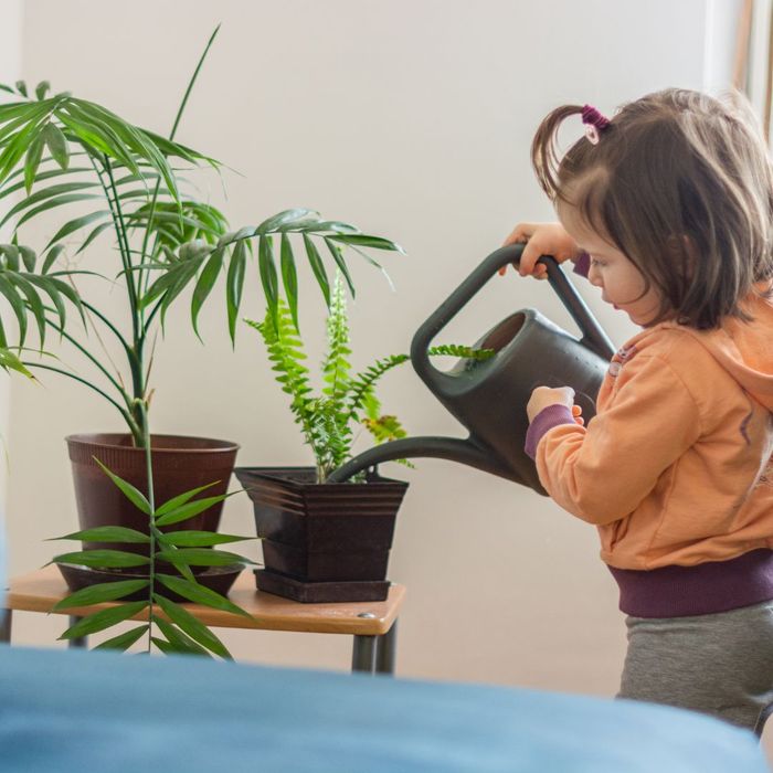 girl watering plants