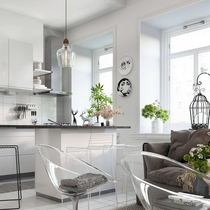 clean white apartment kitchen, plants (stock image)