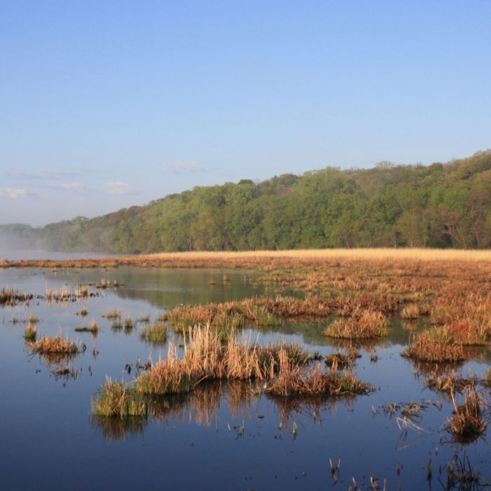 Landscape-Debbie Koenigs-FWS.jpg