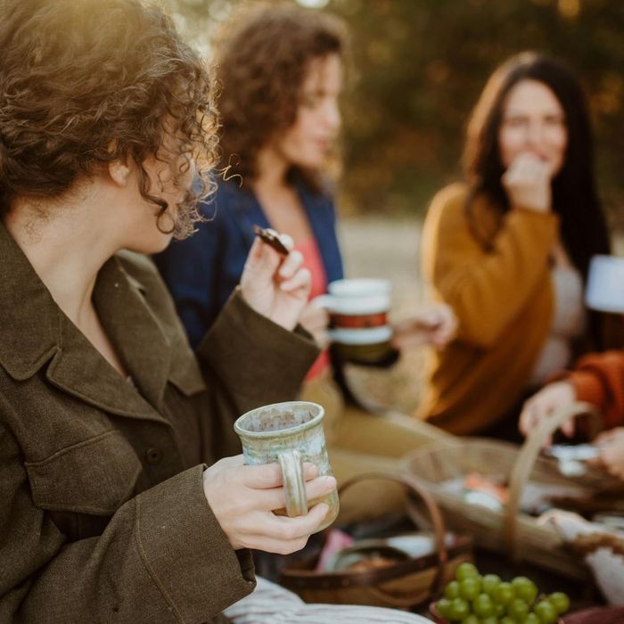 friends having picnic