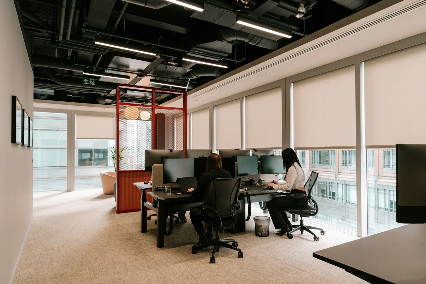 Large Office Windows