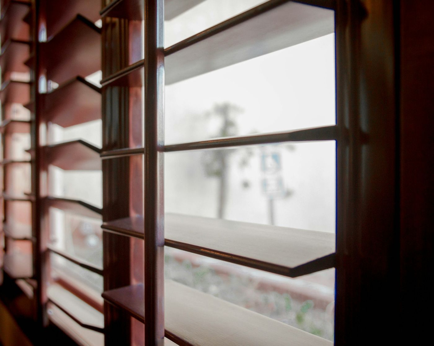 Window Blinds