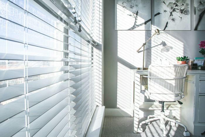 Window Blinds