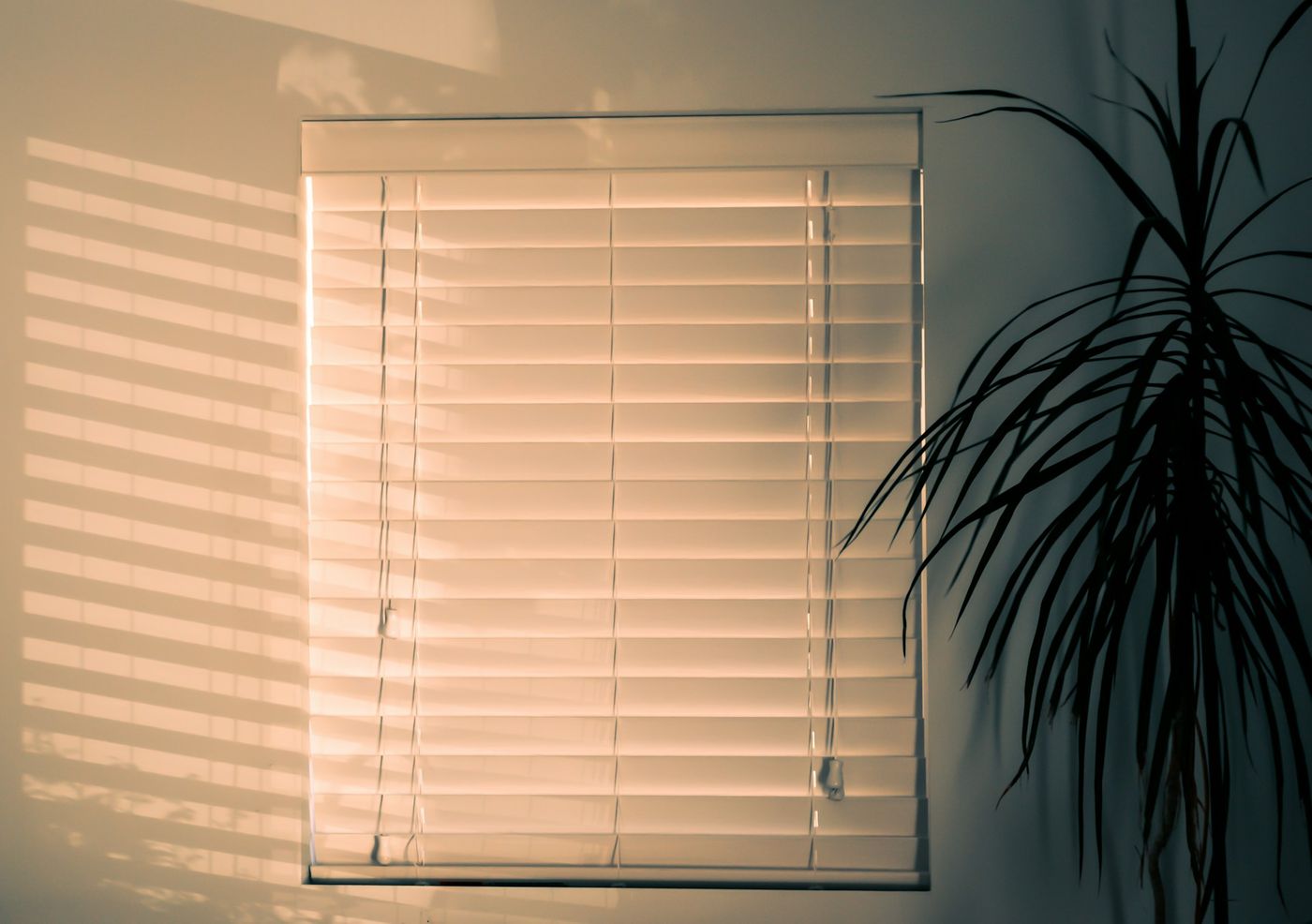 Window Treatment