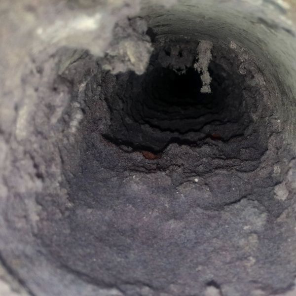 inner pages (10).jpg