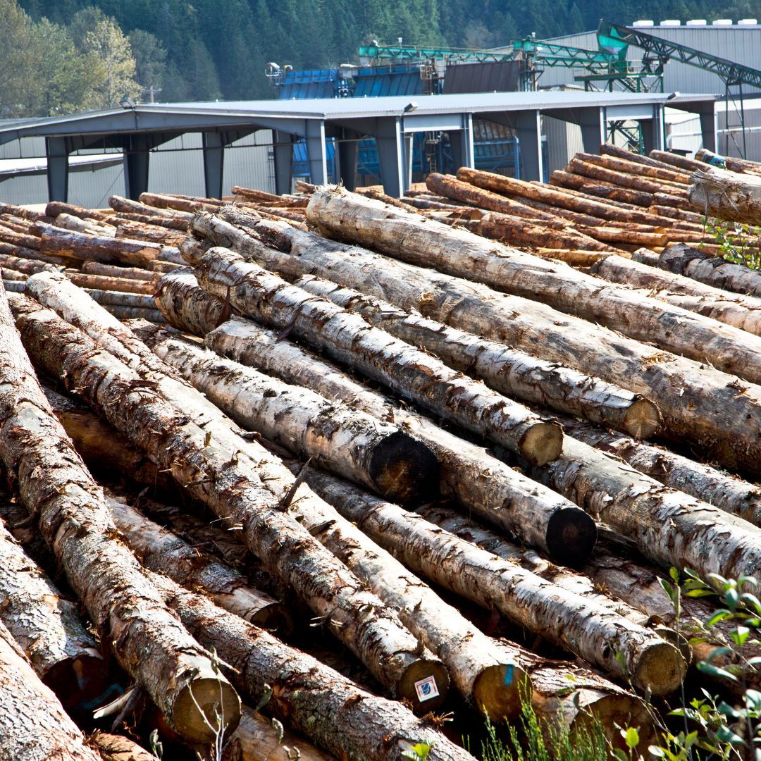 wood stack