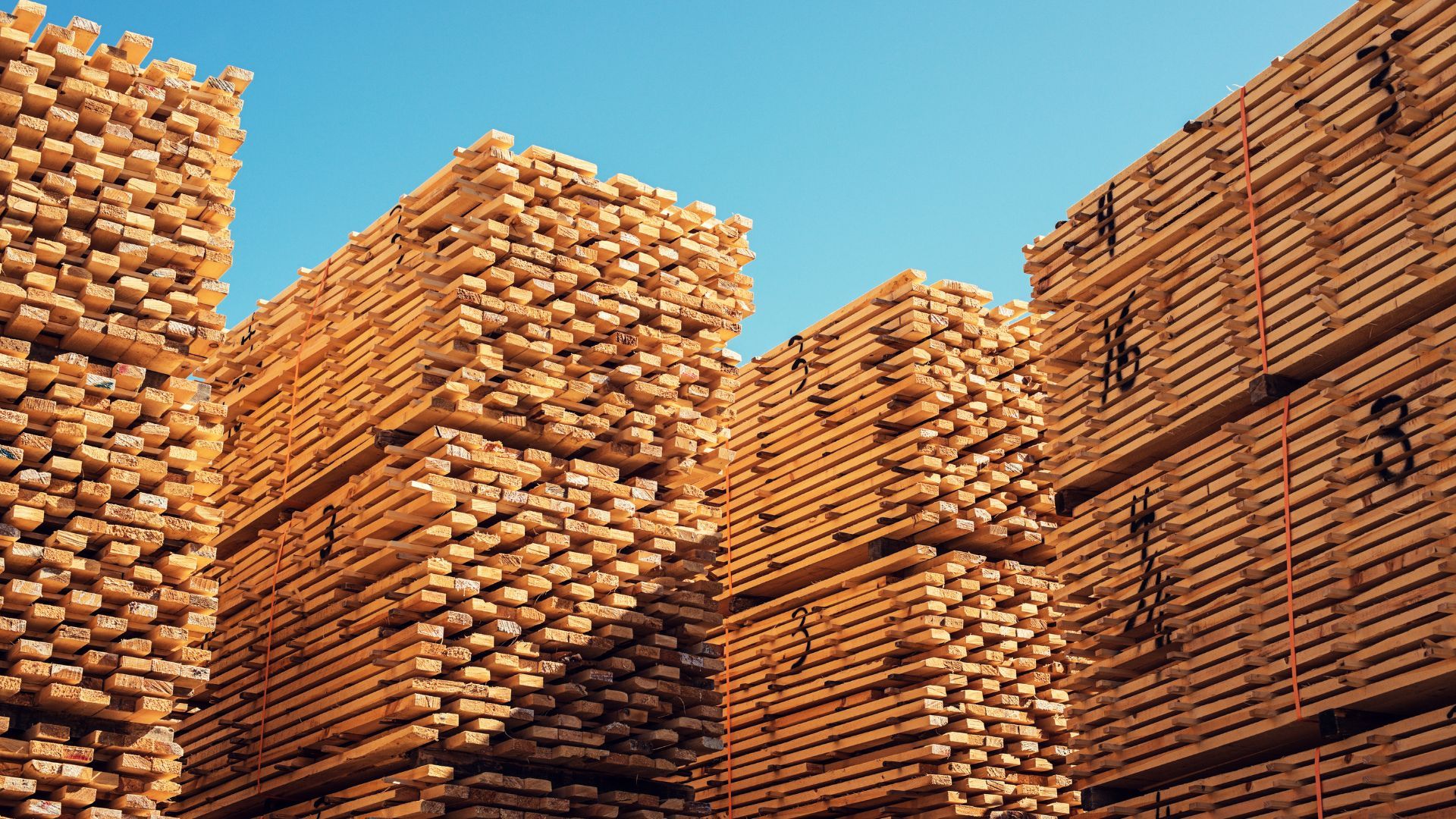 Lumber yard supply 