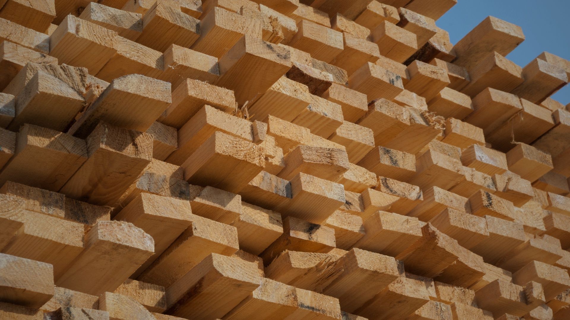 Eliminate Building Stress By Choosing Lumber From Armstrong Lumber - hero.jpg