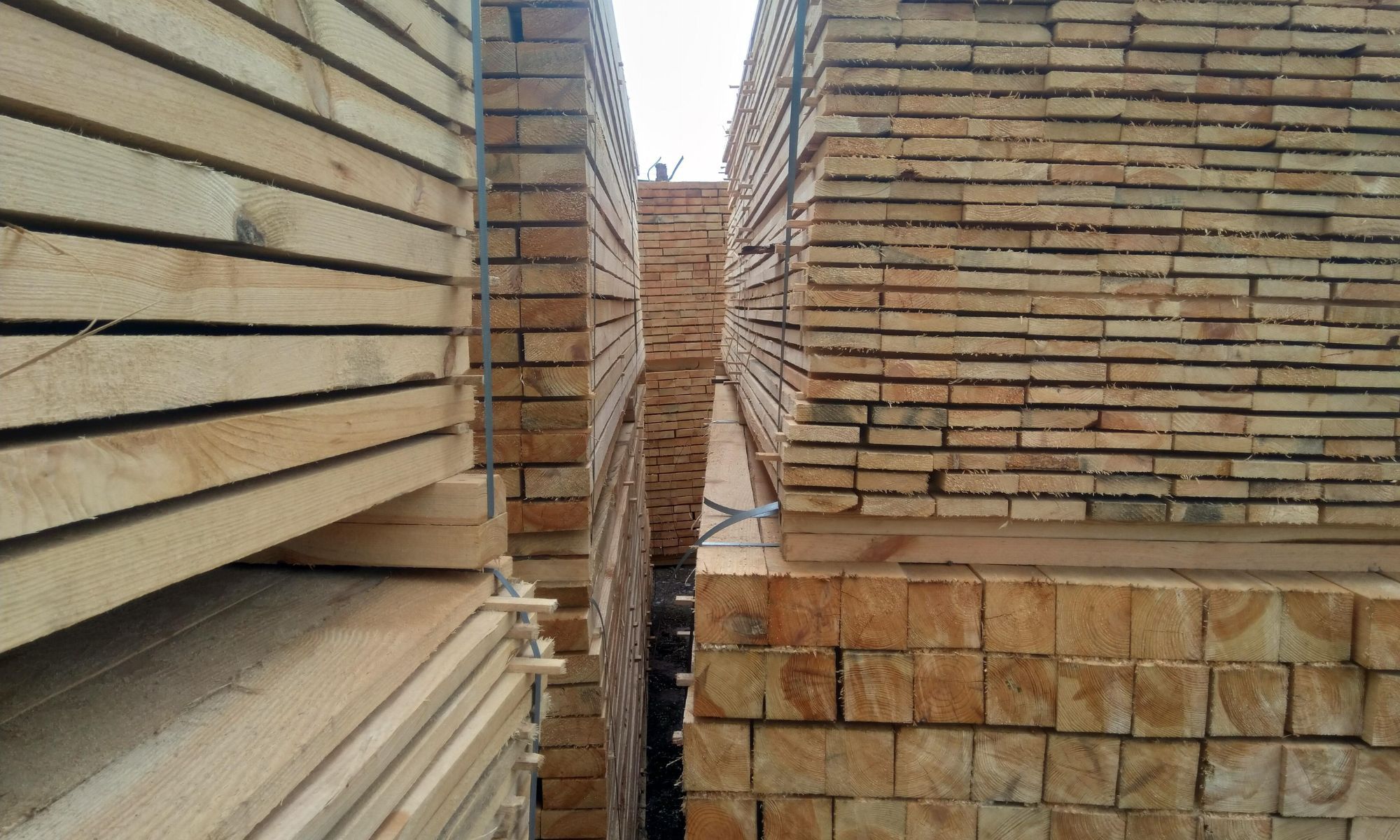 How Armstrong Lumber Became a Cornerstone in Corpus Christi's Construction Industry.jpg