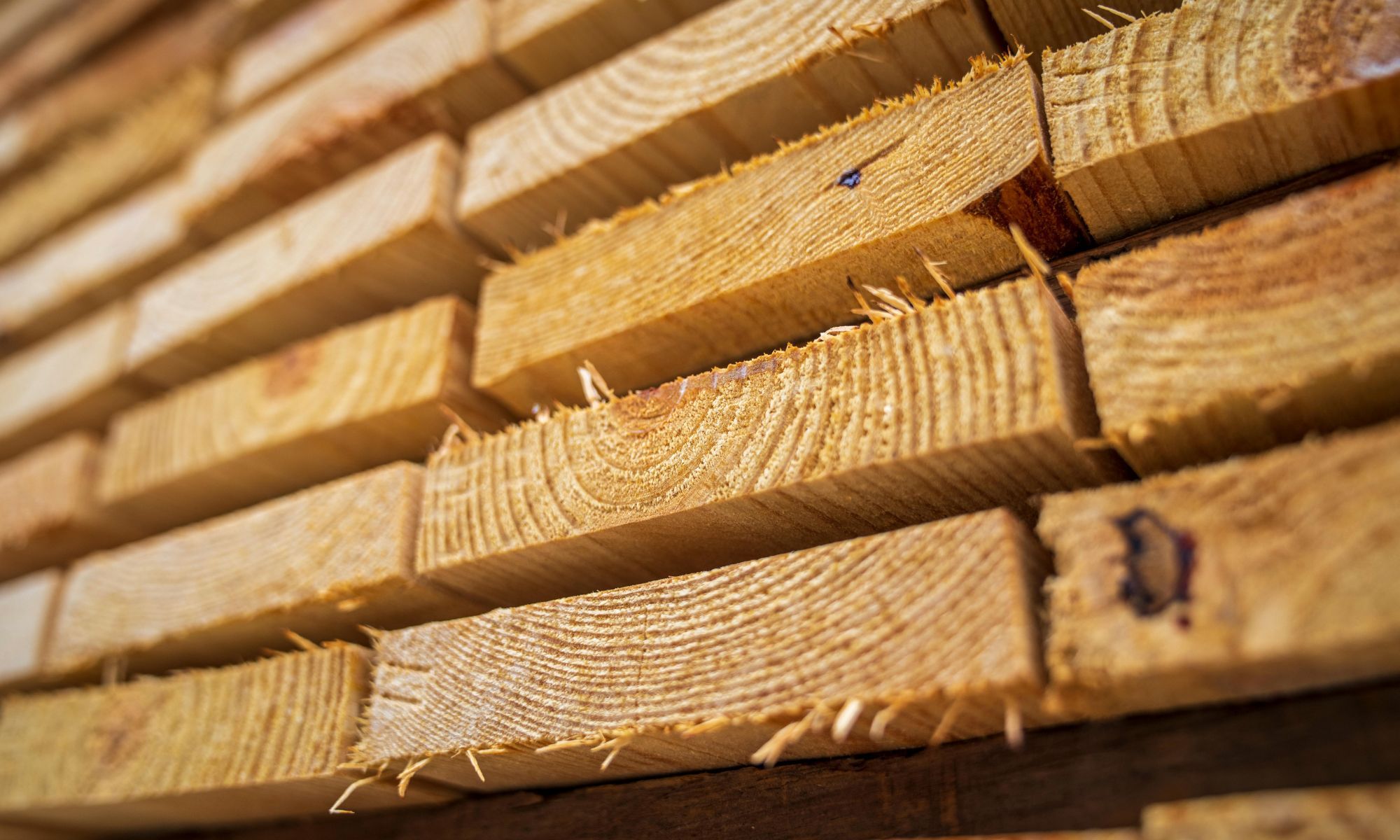 4 Reasons Why Armstrong Lumber's Lumber is the Trusted Choice for Contractors - Featured Image.jpg