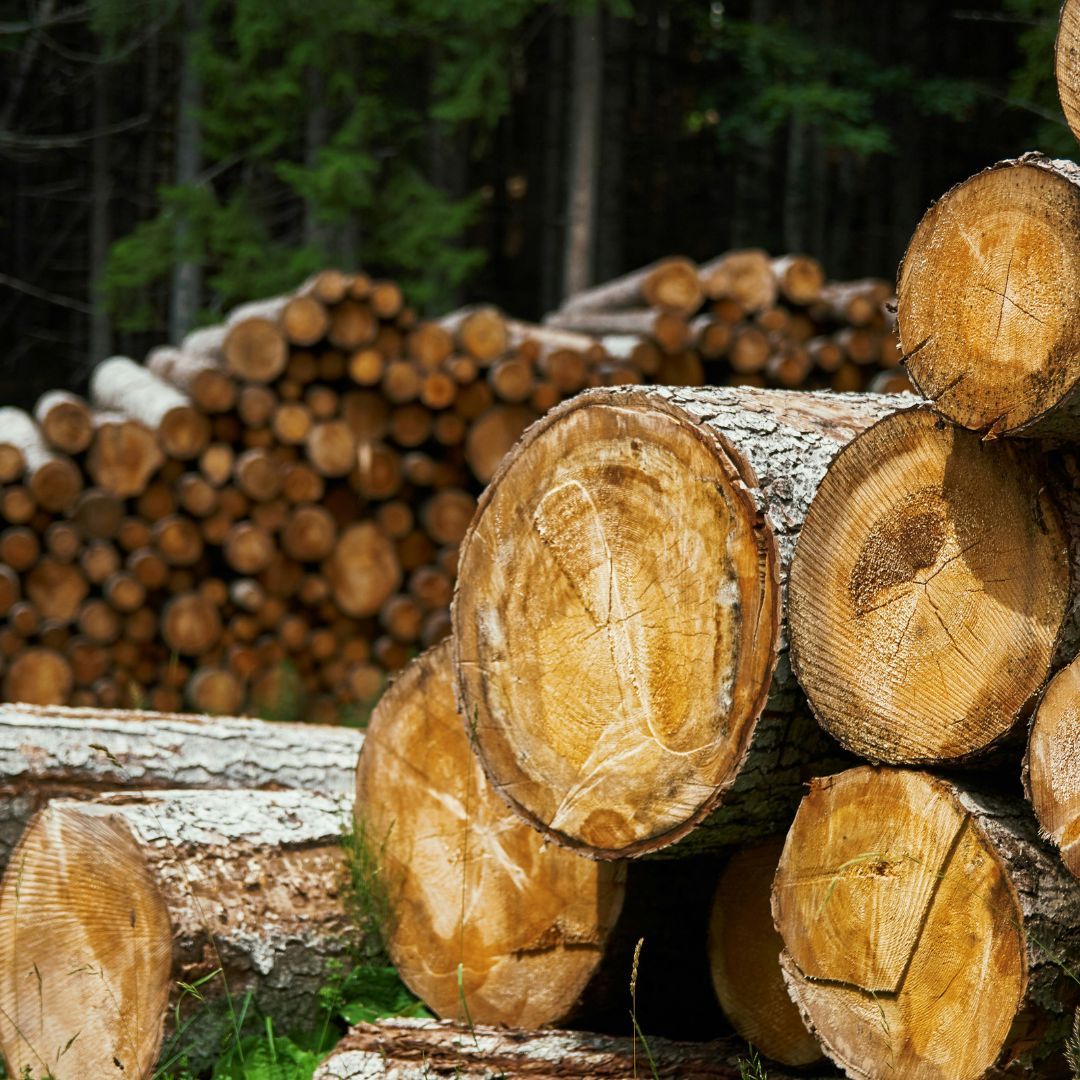 Why Armstrong Lumber's Lumber is a Cut Above the Rest - 1.jpg