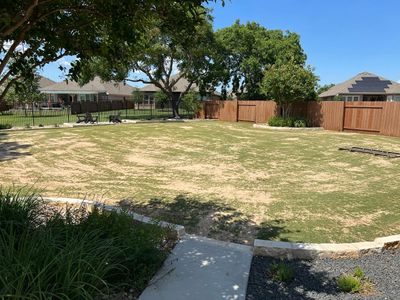 Lawn Leveling  with Masonary Sand