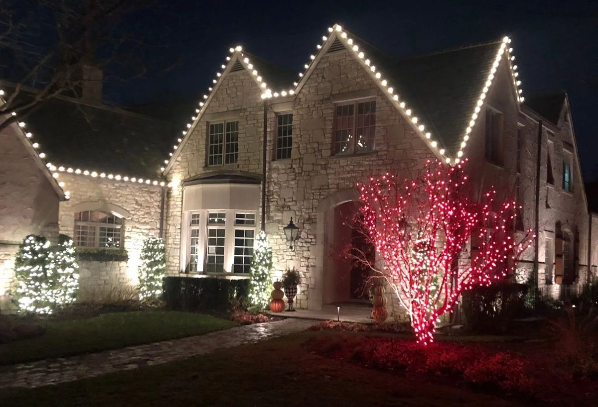 house-and-tree-lights.jpg