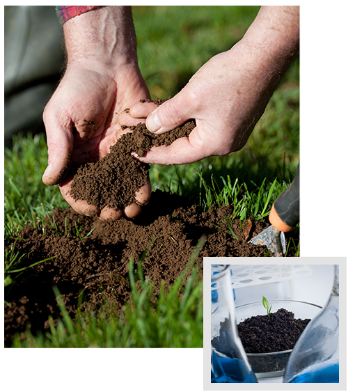 photo collage of soil examination