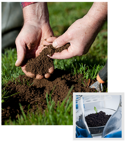 photo collage of soil examination