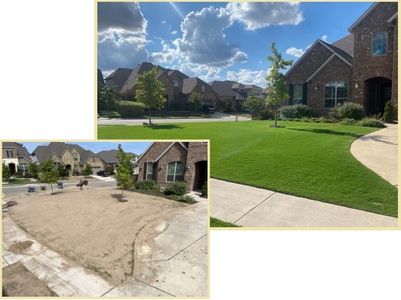 4 weeks post leveling