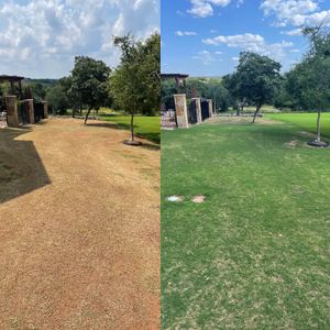 10 Day Post Lawn Leveling with Loam