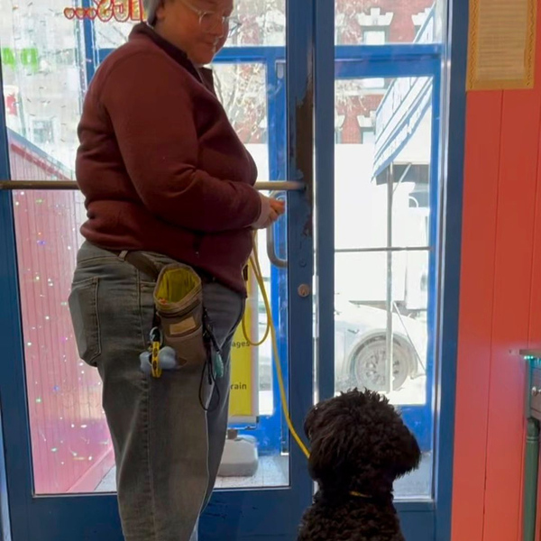 staff member with good dog on leash by front door