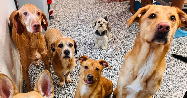 Hero Why Structured Play Wins.jpg