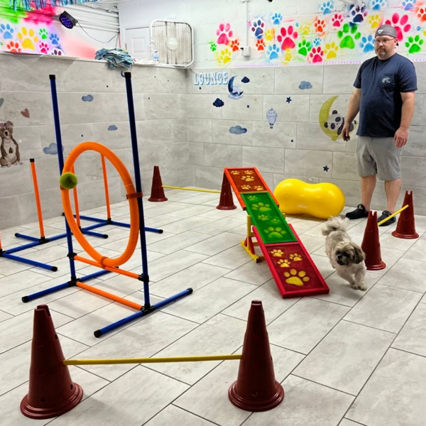 How much should I pay for dog boarding_ 1.jpg