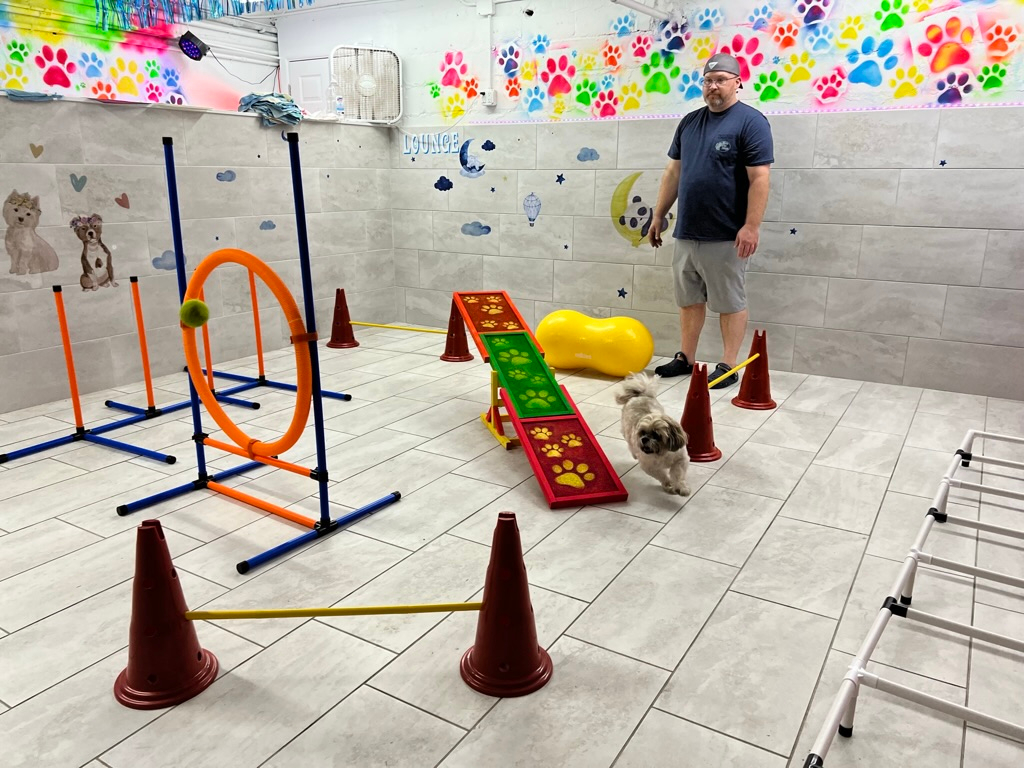 2A03C852-E755-49E6-B788-800555C1D496_1_105_c.jpeg