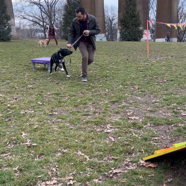 staff member with dog outside on leash