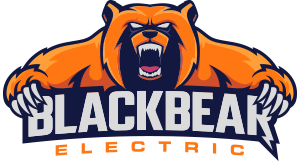 Black Bear Electric