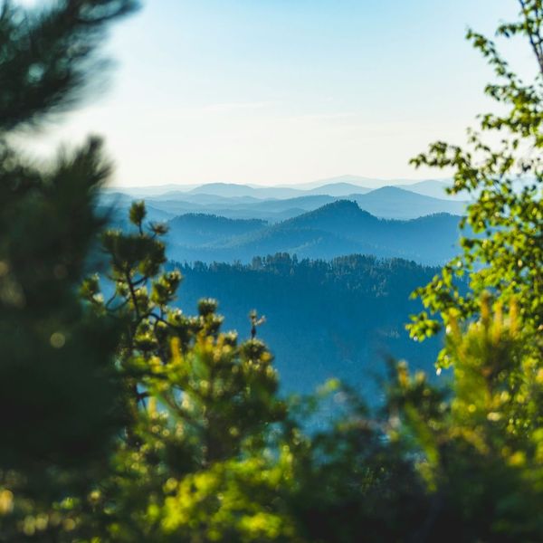 Black Hills mountains
