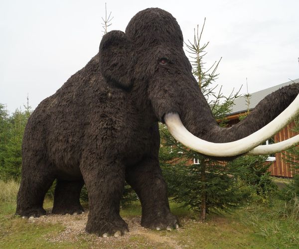 mammoth statue