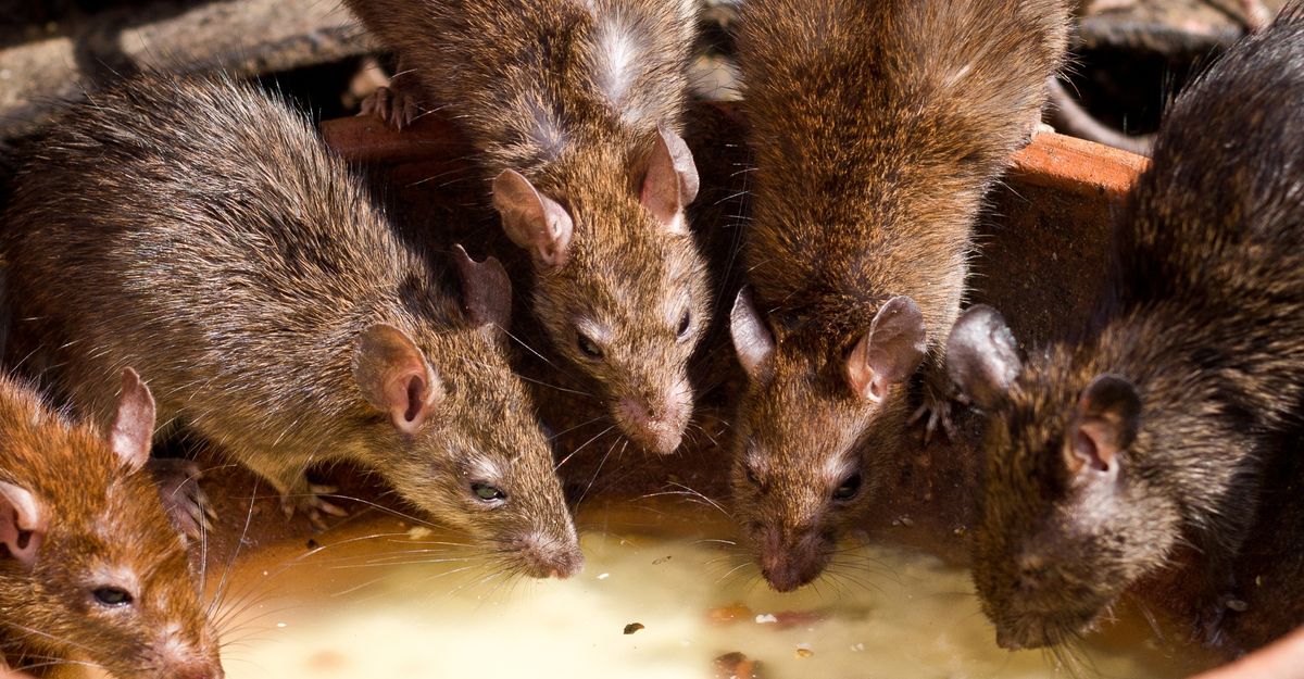 Blog Header Placeholder.jpg